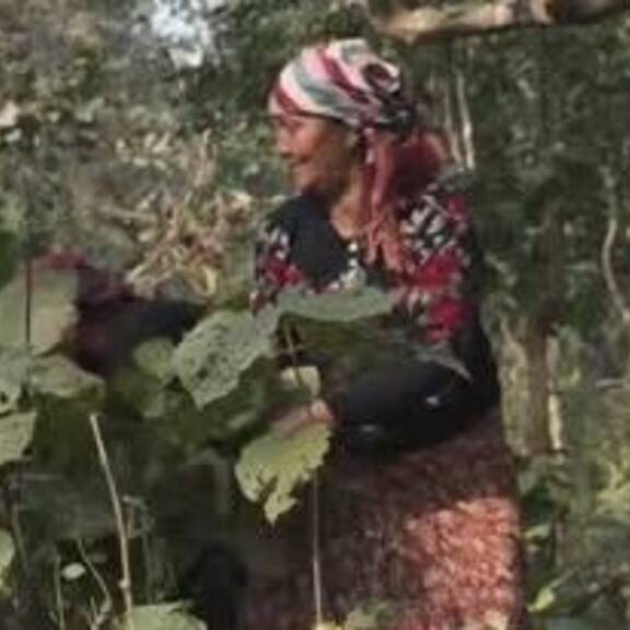Nepal: Frauen schützen vor Waldbränden
