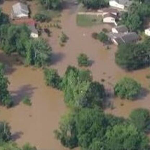 Wirbelsturm bringt Salamander in Not