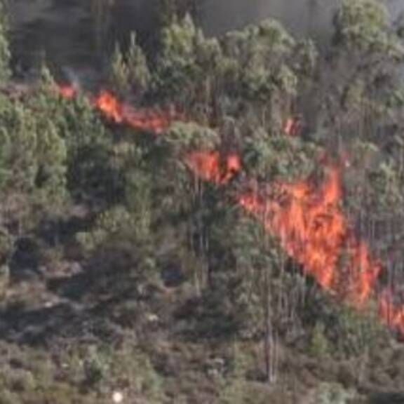 Wasserflugzeuge bekämpfen Waldbrände im norden Portugals