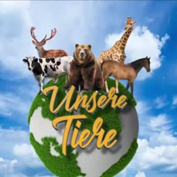 Wo Kälber aus Österreich landen