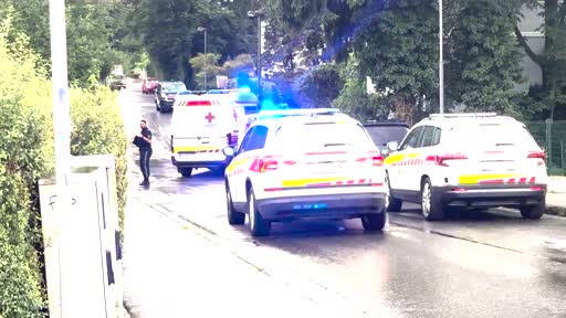 Salzburg: Hausbesitzer schießt Einbrecher-Pärchen nieder