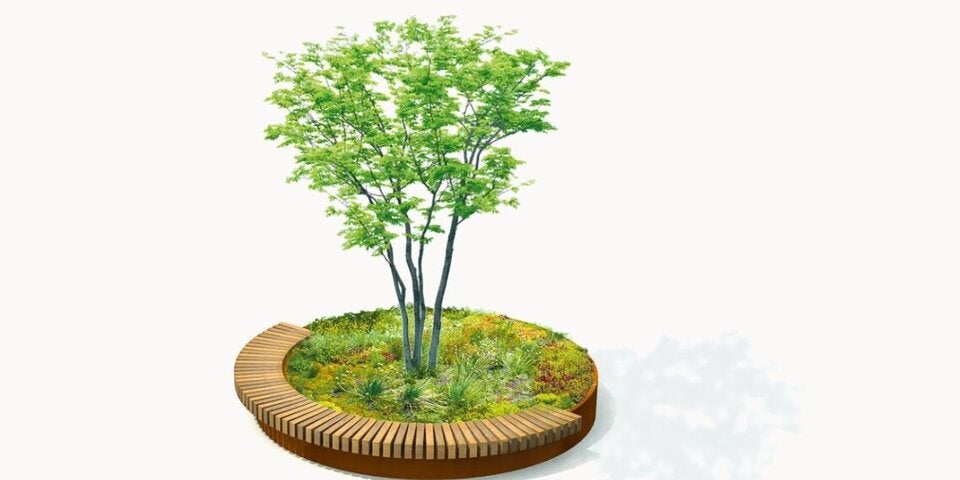 Pflanzen für mehr grün in der City.