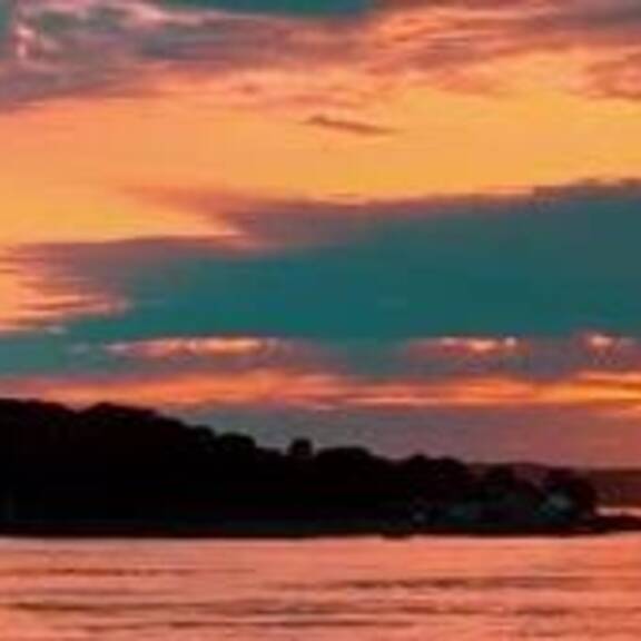 Urlaubszeit: Skorpion im Gepäck versteckt