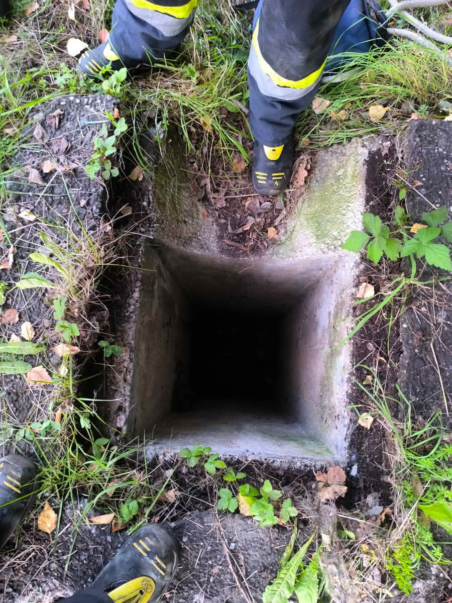 Katze aus Abwasserrohr Villach