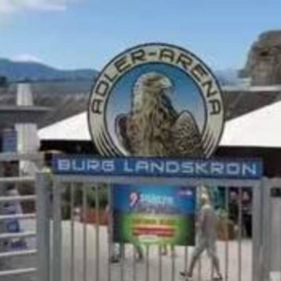 Verletzter Turmfalke gesundgepflegt und in Wildnis entlassen