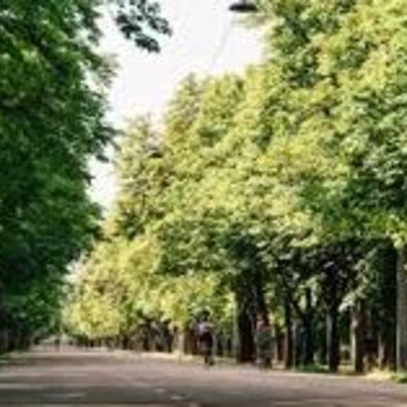 Gemeinsam laufen für die Tiere: Tierschutzlauf Wien