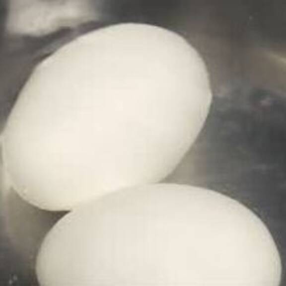 Label-Check: Welche Eier kann man mit gutem Gewissen essen?