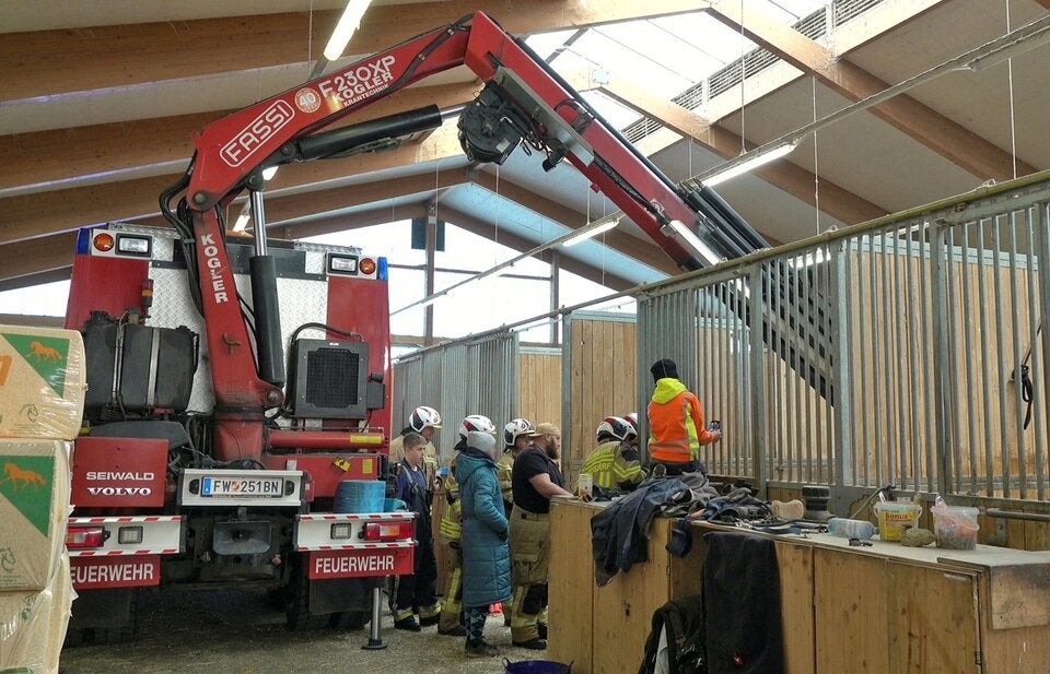 Feuerwehreinsatz - um Pferd beim Aufstehen zu helfen