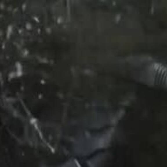 Ab 6. November im Kino: 