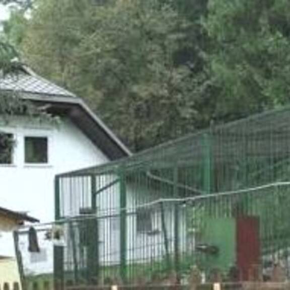 Restaurantbärin zieht in den Bärenwald Arbesbach