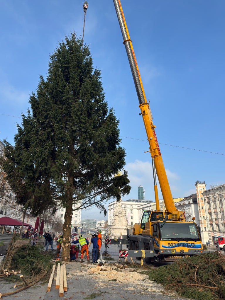Christbaum Linz