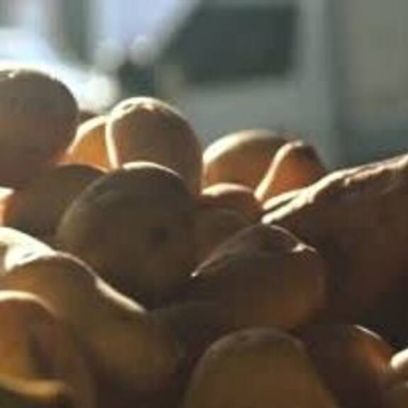 Überangebot drückt Bauern-Kartoffelpreis - Knappe Eierversorgung