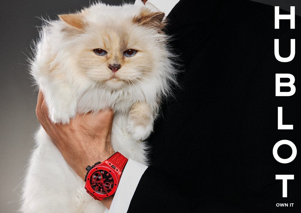 HUBLOT holt sich die berühmteste Katze der Welt als neues Testimonial