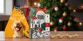 Shopping Channel Hunde Adventkalender Aufmacher