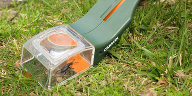 Shopping Channel Spinnen Aufmacher