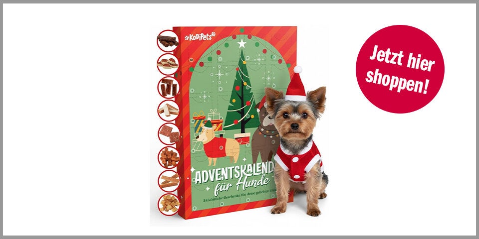Shopping Channel Hunde Adventkalender Kodipets Hunde Adventkalender