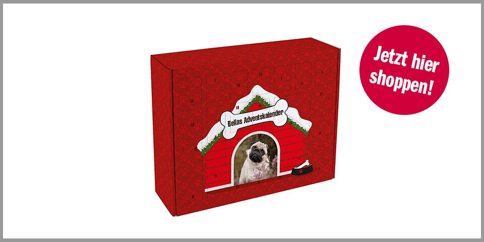 Shopping Channel Hunde Adventkalender Herz & Heim Hunde Adventkalender