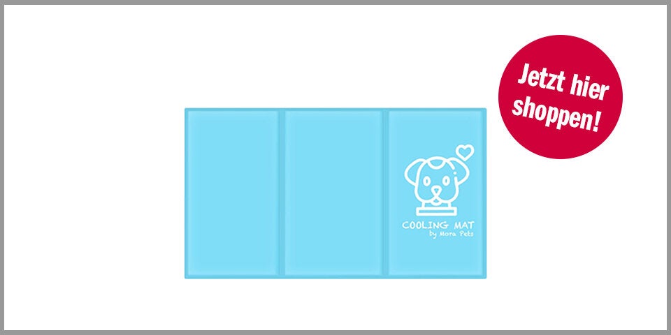 Shopping Channel Kühlmatten für Hunde Pawtasy
