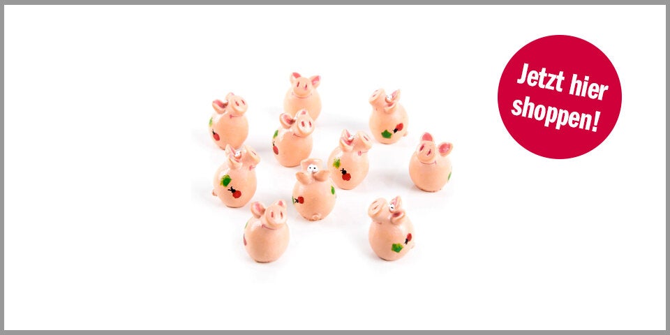 Shopping Channel Silvester Glücksbringer Logbuch Verlag Glücksschweinchen Glücksbringer