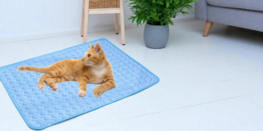 Shopping Channel K&uuml;hlmatten Katzen Aufmacher