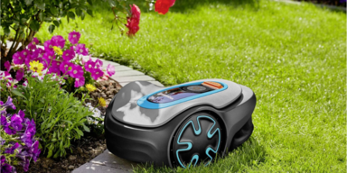 Kleiner Garten? Diese fünf Mähroboter sind ideal für überschaubare Flächen