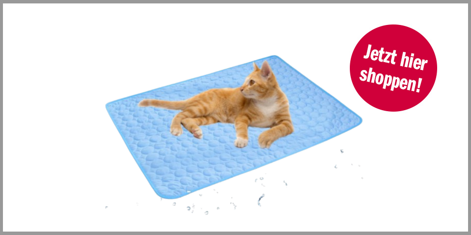 Shopping Channel Lezuan Kühlmatte für Katzen