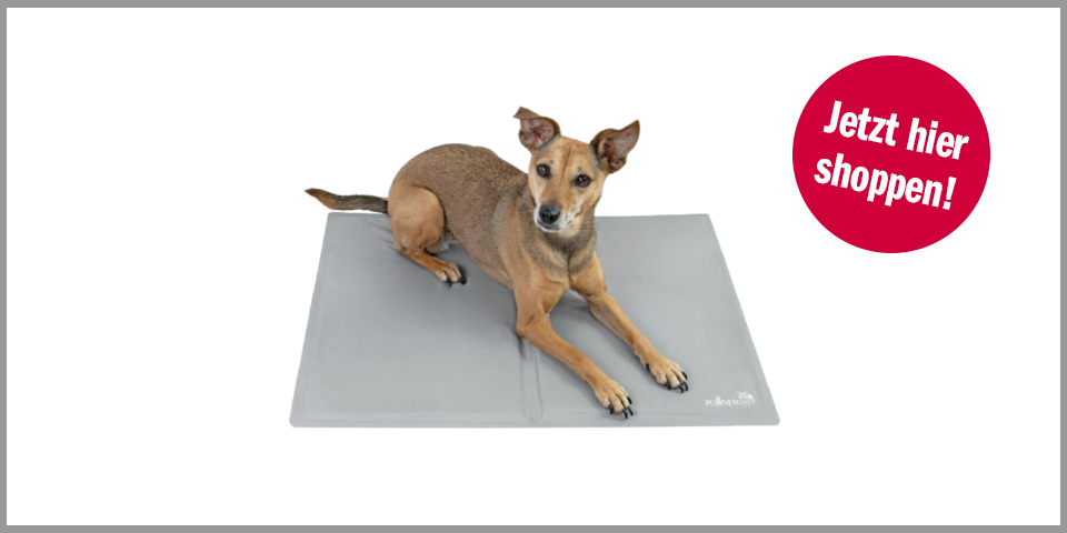 Shopping Channel Zollner Kühlmatte für Katzen und Hunde