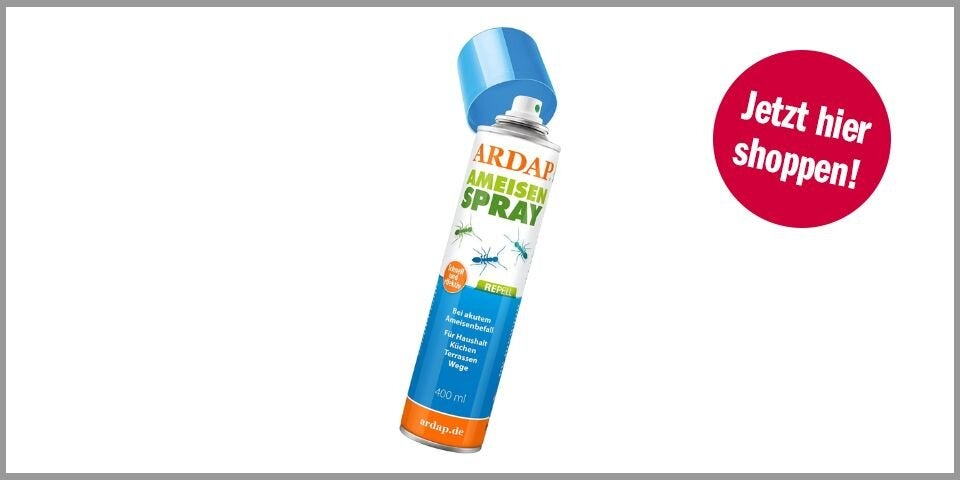 Shopping Ameisen loswerden Ardap Repell