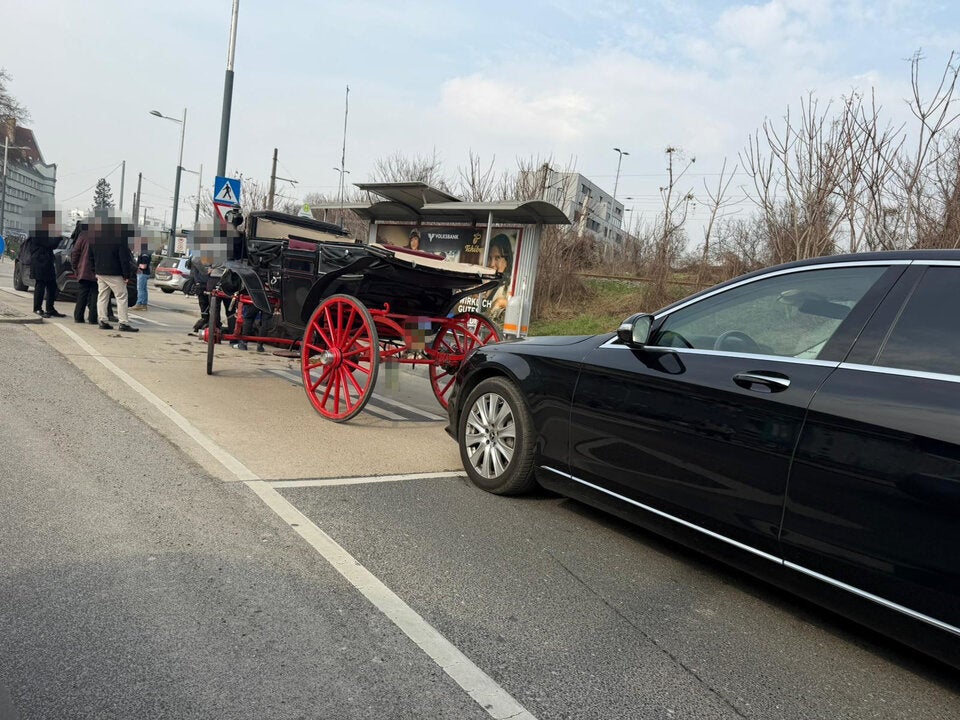 Fiakerpferd bricht zusammen – tot