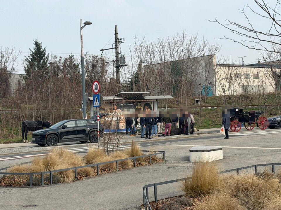 Fiakerpferd bricht zusammen – tot