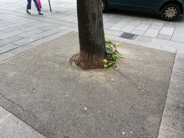 Aufwertung der Baumallee in der Meidlinger Hauptstraße