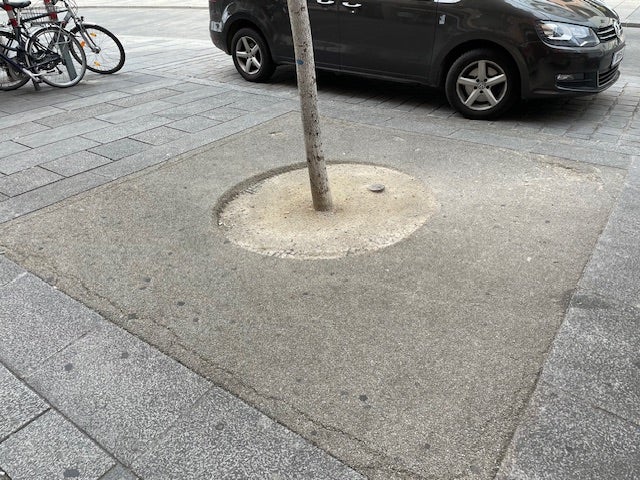 Aufwertung der Baumallee in der Meidlinger Hauptstraße