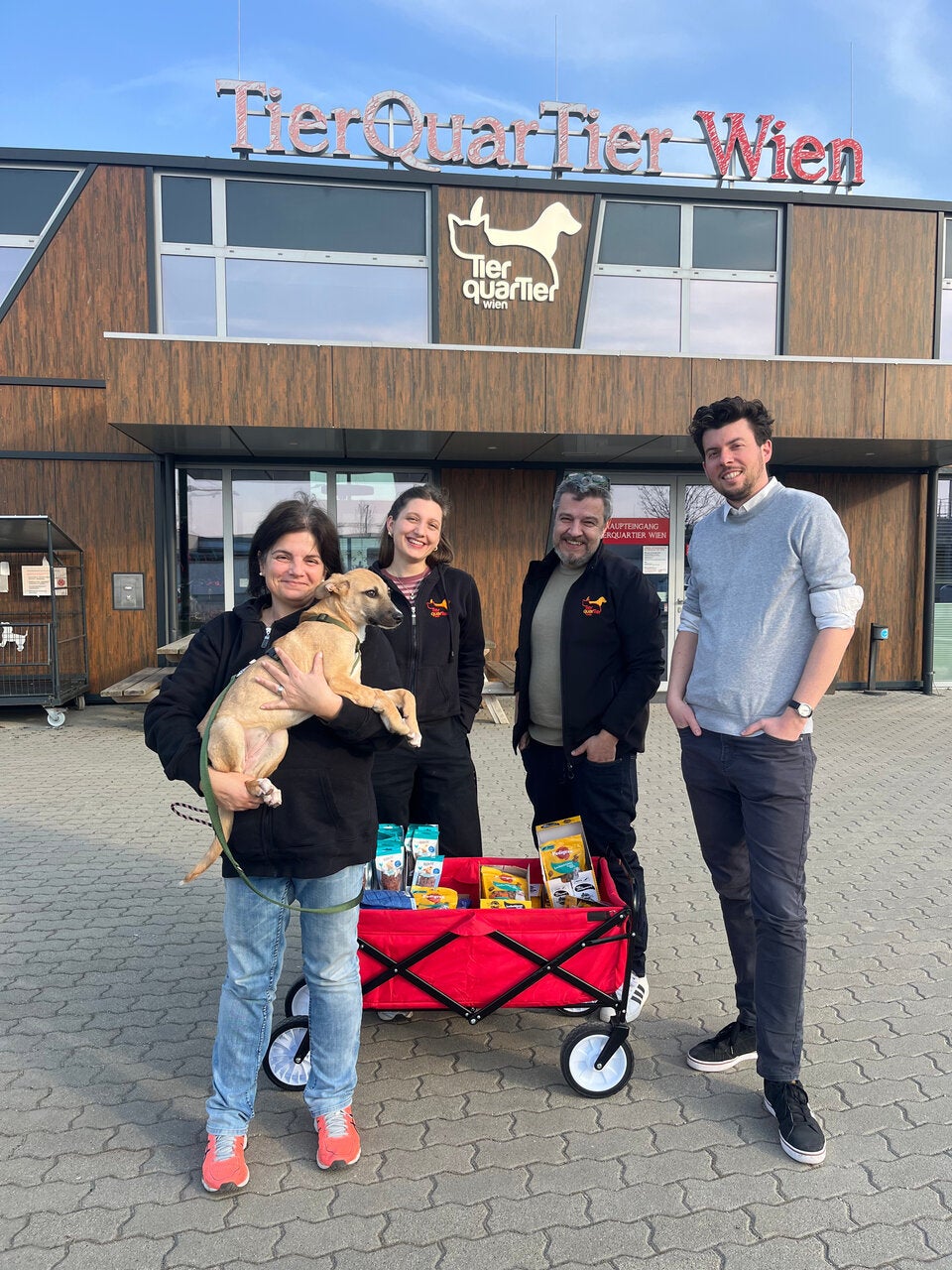 Hunde-Wunder vom Votivpark: Mila kämpft sich zurück ins Leben