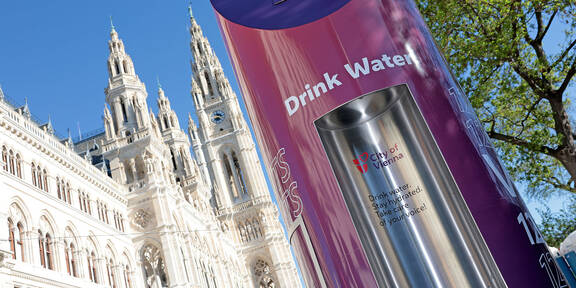 Wiener Trinkbrunnen im schicken ESC-Look