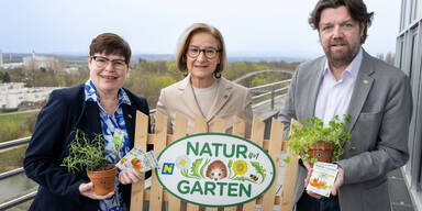 Aufbl&uuml;hen im Garten: N&Ouml; startet MEGA-Kr&auml;uter-Offensive 2026