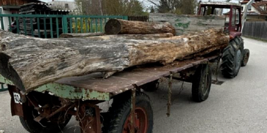 Wiener ohne Schein mit desolatem Fahrzeuggespann erwischt