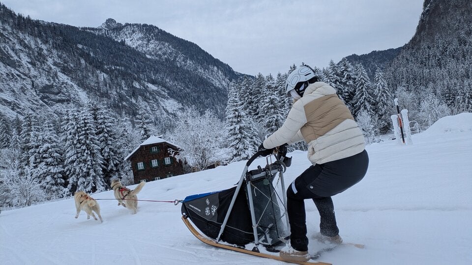 TEamwork Zwischen MenscH und Hund.. In Abtenau kann man das Husky-Schlittenfahren probieren