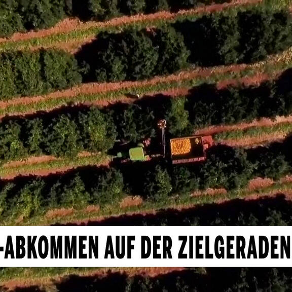 EU-Einigung: Weg für Mercosur-Handelsabkommen ist frei