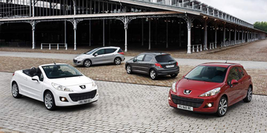 Dezentes Facelift für den kleinen Löwen