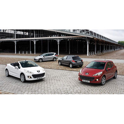 Dezentes Facelift für den kleinen Löwen