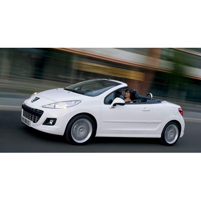 Dezentes Facelift für den kleinen Löwen