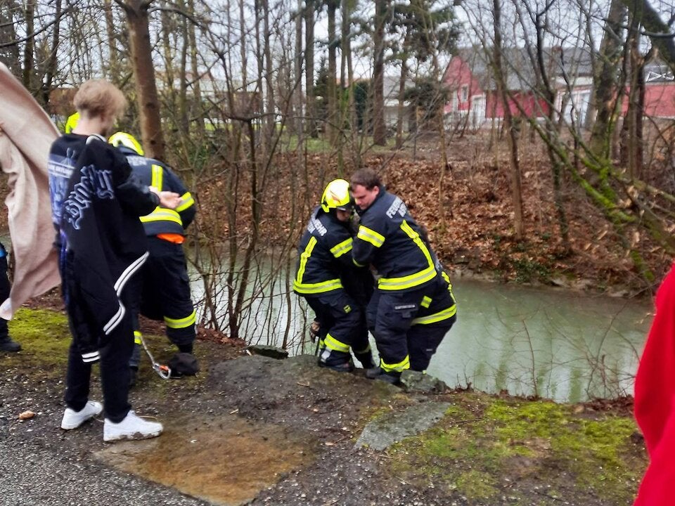 Oma fällt bei Entenfüttern ins Wasser
