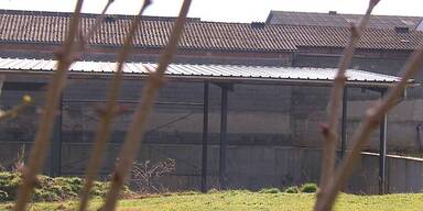 Illegale Bauten in Würmla: Gemeinde hebelt Abrissbescheide aus