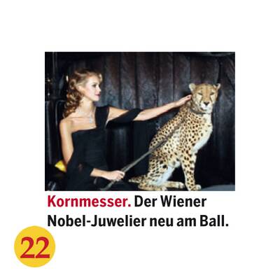 Opernball Logengäste