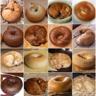 Entlein oder Kochbanane