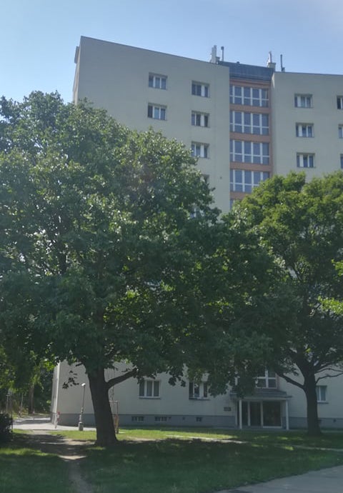 Video zeigt dramatischen Einsatz um tödlichen Kleinkind-Fenstersturz
