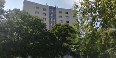 Kleinkind (1) st&uuml;rzt aus Fenster: tot