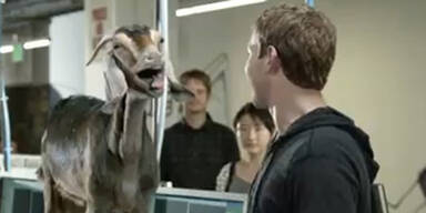 Zuckerberg mit Ziege