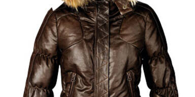 Die besten Winterbegleiter