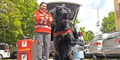 Rotes Kreuz Schwechat